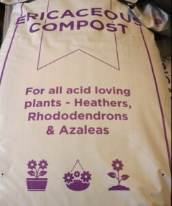 Ericaceous compost - for Acid loving plants